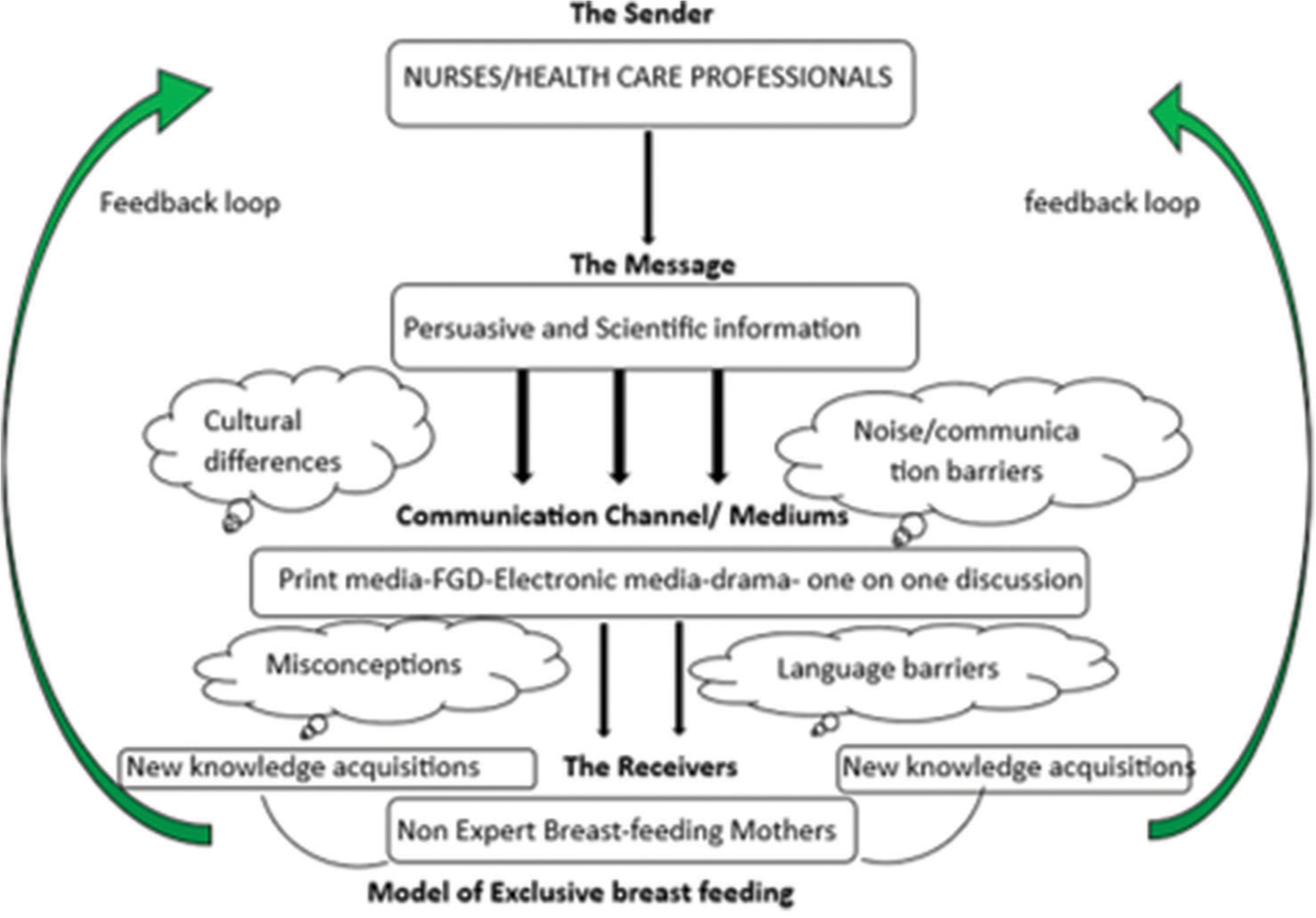 Architecture of the dual-feedback loop communication model. FGD: Focused group discussion.