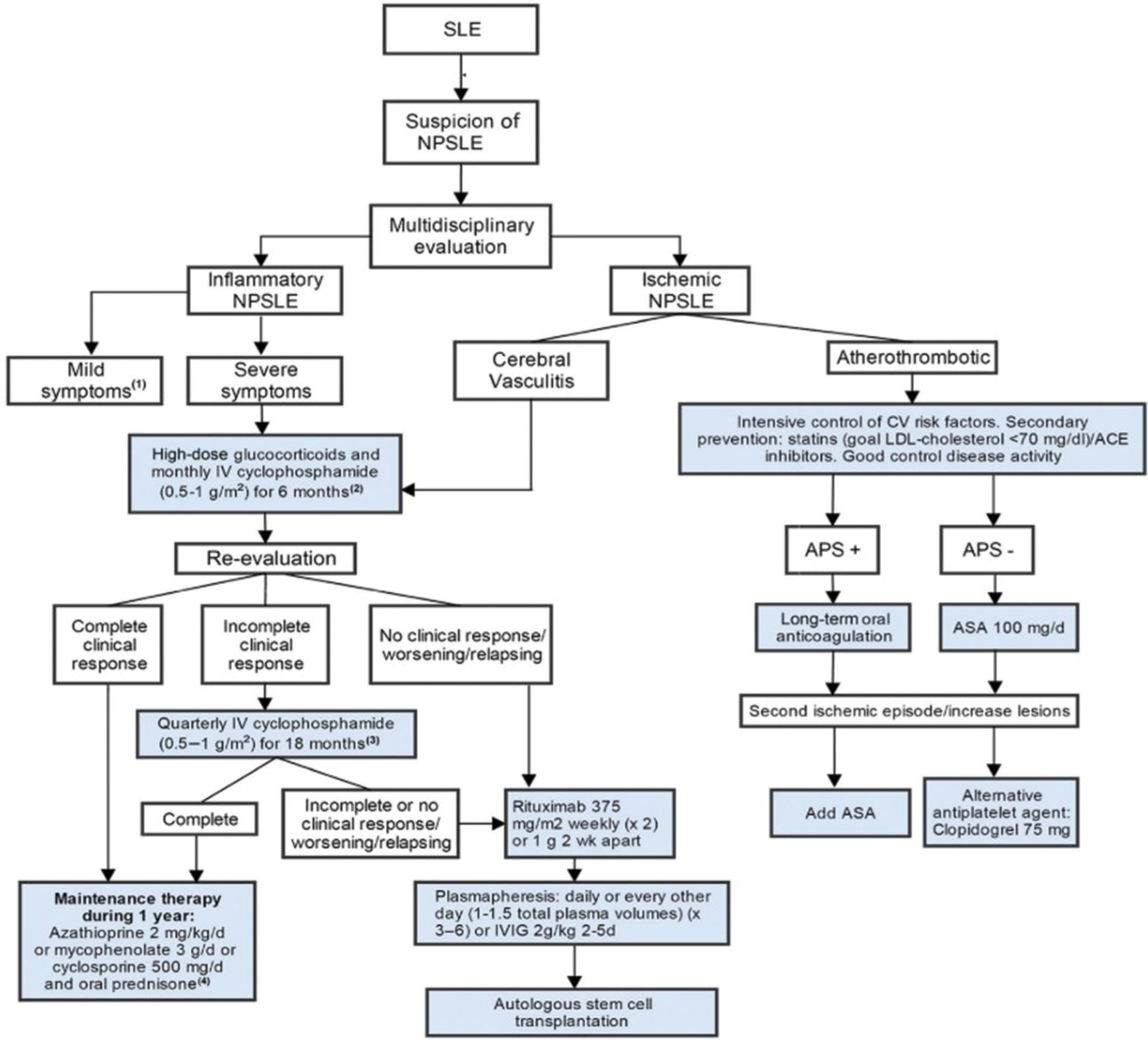 Management of neuropsychiatric systemic lupus erythematosus. SLE: Systemic lupus erythematosus, NPSLE: Neuropsychiatric systemic lupus erythematosus, IV: Intravenous, CV: Cardio vascular, LDL: Low density lipoprotein, ACE: Angiotensin converting enzyme, ASA: Acetyi salicylic acid, APS: Antiphospholipid syndrome, IVIG: Intravenous immunoglobulin.